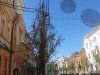 (2014.07.07) Гибнущие саженцы на ул. Красной в Краснодаре